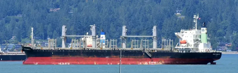 BERGE SNOWDON Bulk Carrier IMO 9738882 photo 8