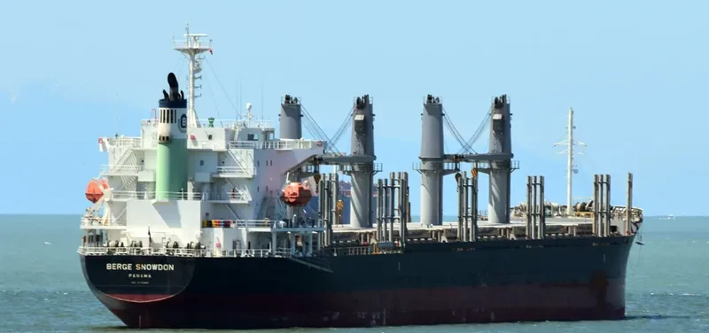 BERGE SNOWDON Bulk Carrier IMO 9738882 photo 9