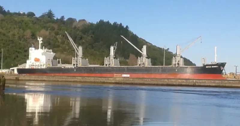 BERGE SNOWDON Bulk Carrier IMO 9738882 photo 10