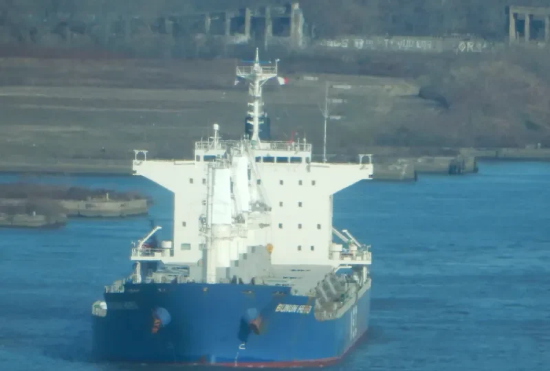 BUNUN HERO Bulk Carrier IMO 9738894