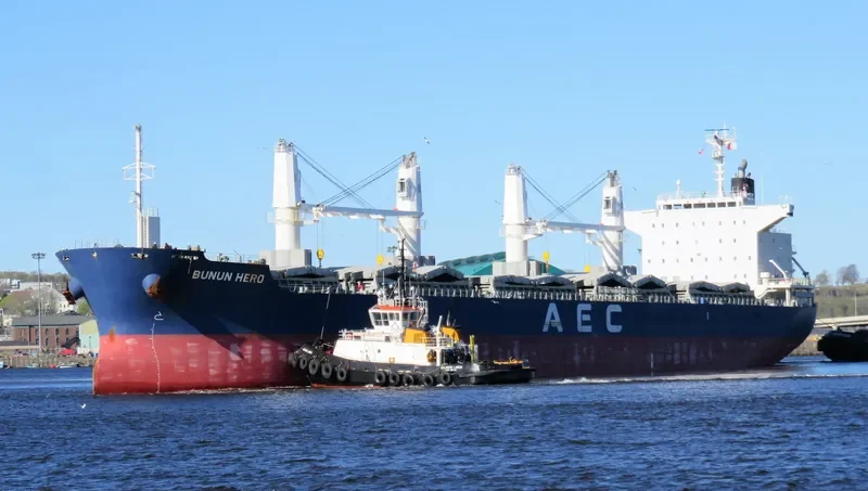 BUNUN HERO Bulk Carrier IMO 9738894 photo 3