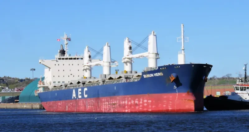 BUNUN HERO Bulk Carrier IMO 9738894 photo 4