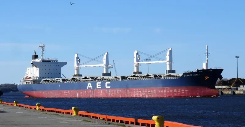 BUNUN HERO Bulk Carrier IMO 9738894 photo 5