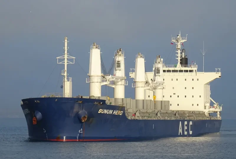 BUNUN HERO Bulk Carrier IMO 9738894 photo 7