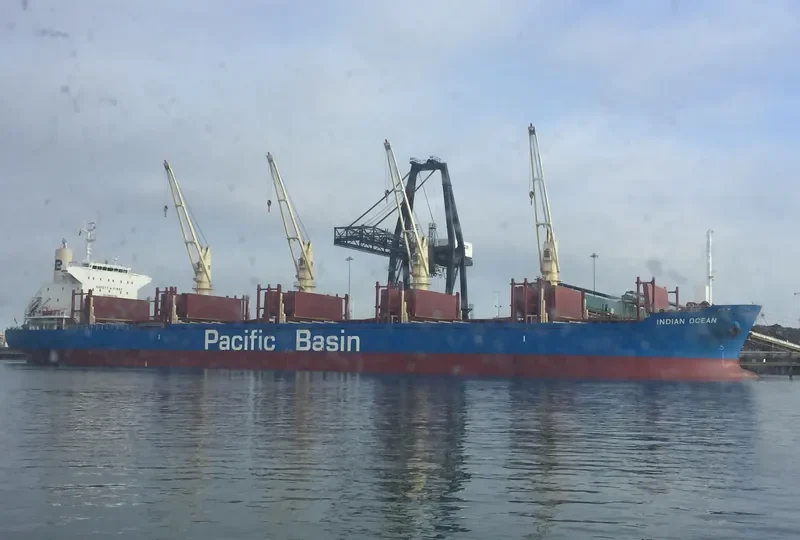 INDIAN OCEAN Bulk Carrier IMO 9738909