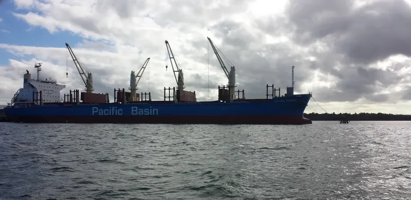 INDIAN OCEAN Bulk Carrier IMO 9738909 photo 3