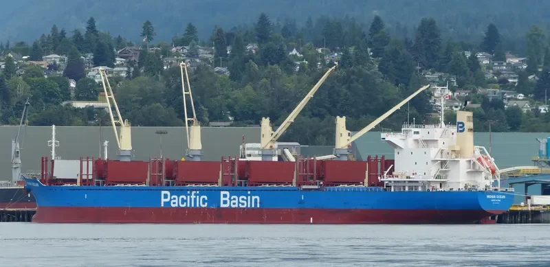 INDIAN OCEAN Bulk Carrier IMO 9738909 photo 4