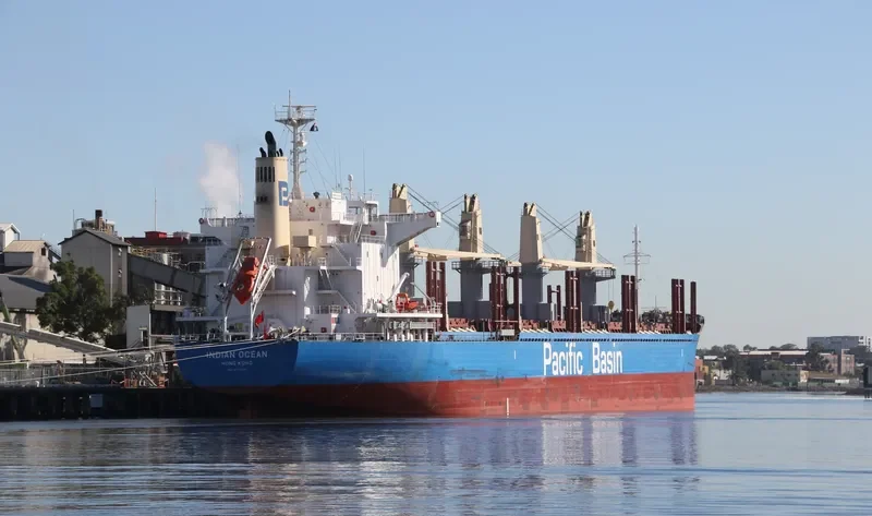 INDIAN OCEAN Bulk Carrier IMO 9738909 photo 9