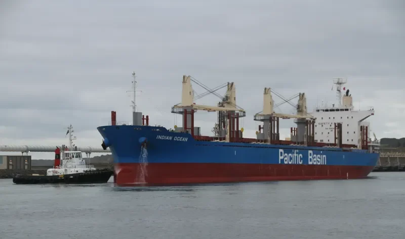 INDIAN OCEAN Bulk Carrier IMO 9738909 photo 10