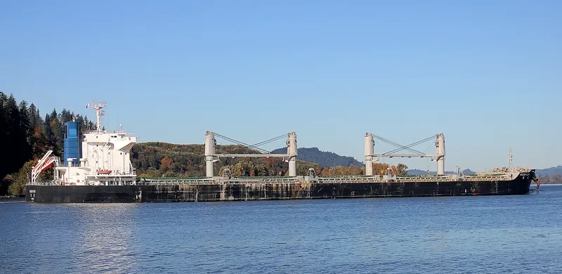GOLDEN GLINT Bulk Carrier IMO 9738911 photo 2