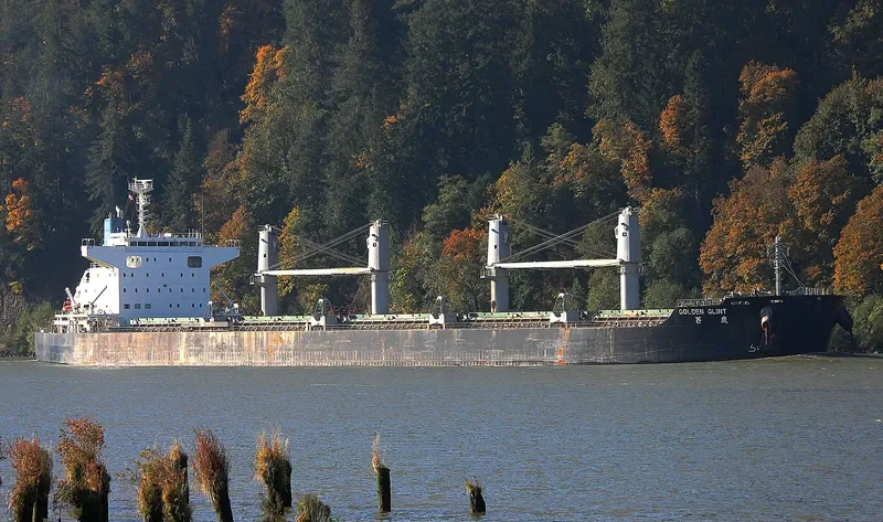 GOLDEN GLINT Bulk Carrier IMO 9738911 photo 4
