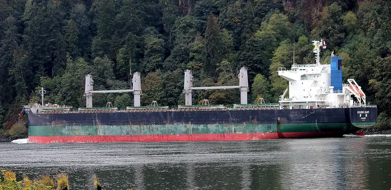 GOLDEN GLINT Bulk Carrier IMO 9738911 photo 5