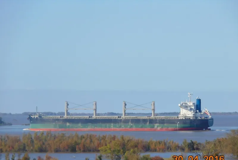 GOLDEN GLINT Bulk Carrier IMO 9738911 photo 6