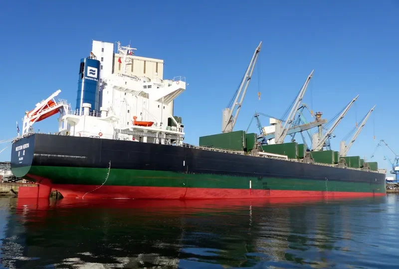 GOLDEN GLINT Bulk Carrier IMO 9738911 photo 7