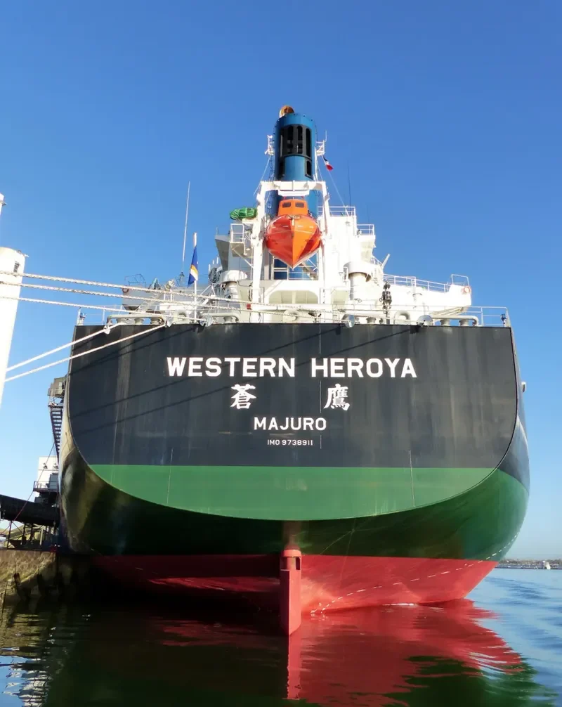 GOLDEN GLINT Bulk Carrier IMO 9738911 photo 8