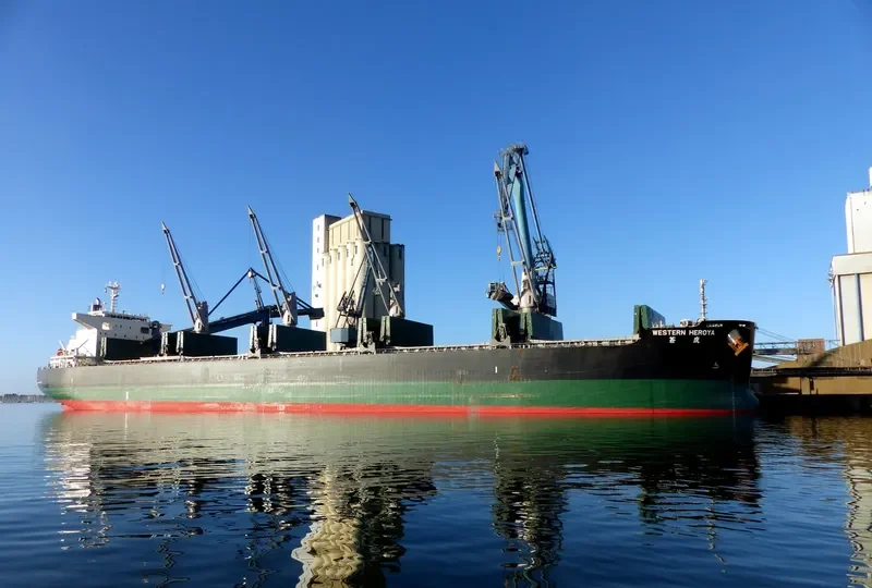 GOLDEN GLINT Bulk Carrier IMO 9738911 photo 9