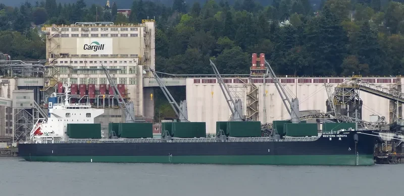 GOLDEN GLINT Bulk Carrier IMO 9738911 photo 10
