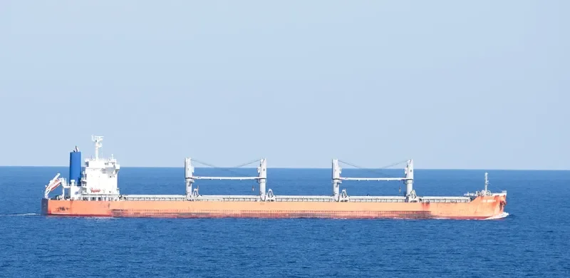 LEO OCEAN Bulk Carrier IMO 9738923