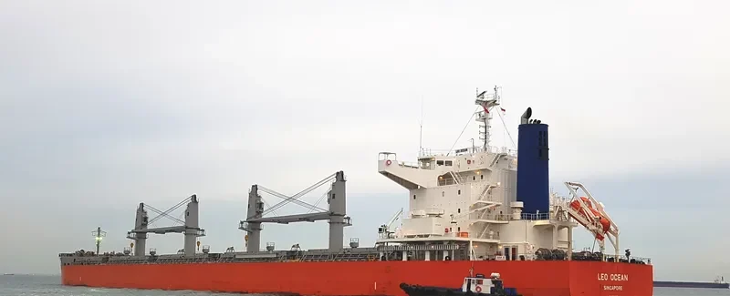 LEO OCEAN Bulk Carrier IMO 9738923 photo 2