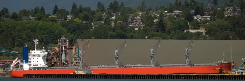 LEO OCEAN Bulk Carrier IMO 9738923 photo 3