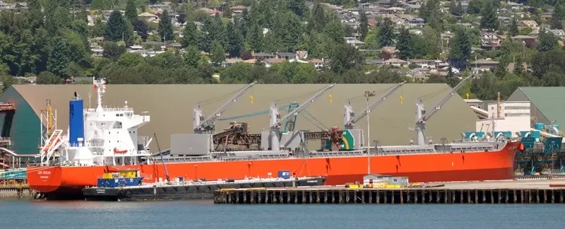 LEO OCEAN Bulk Carrier IMO 9738923 photo 4