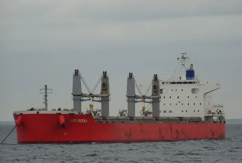 LEO OCEAN Bulk Carrier IMO 9738923 photo 5