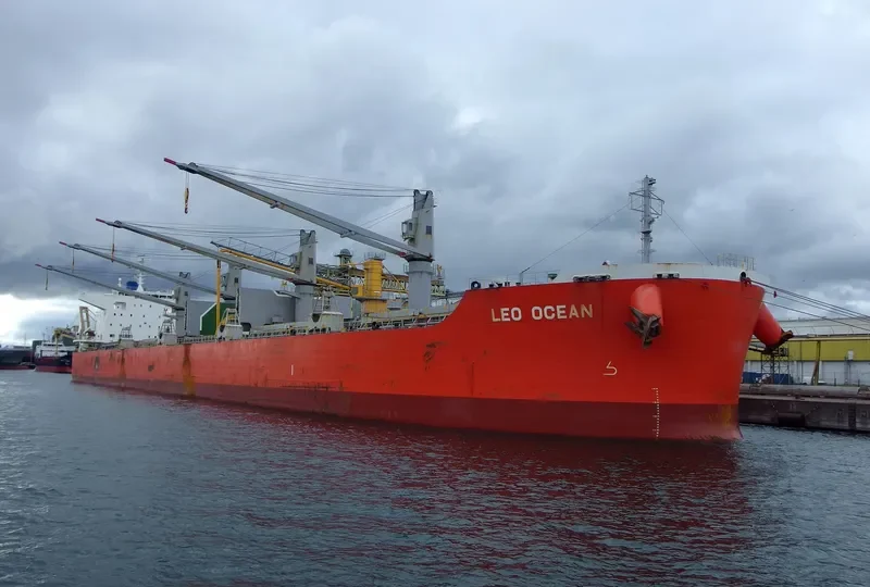 LEO OCEAN Bulk Carrier IMO 9738923 photo 6