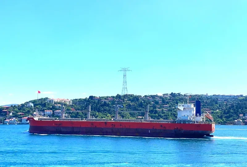 LEO OCEAN Bulk Carrier IMO 9738923 photo 7