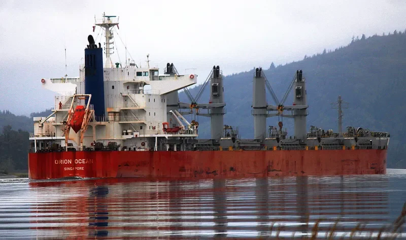 ORION OCEAN Bulk Carrier IMO 9738935