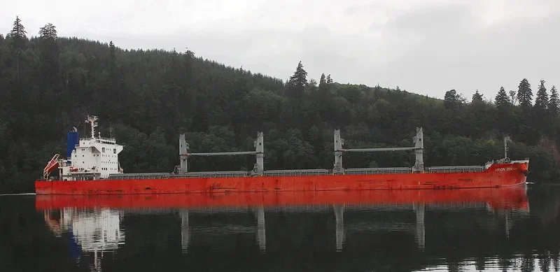 ORION OCEAN Bulk Carrier IMO 9738935 photo 2