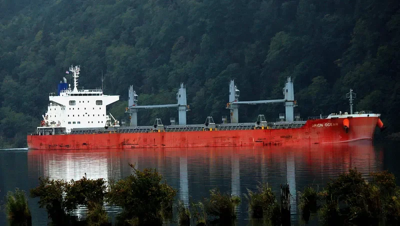 ORION OCEAN Bulk Carrier IMO 9738935 photo 3