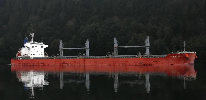 ORION OCEAN Bulk Carrier IMO 9738935 photo 4