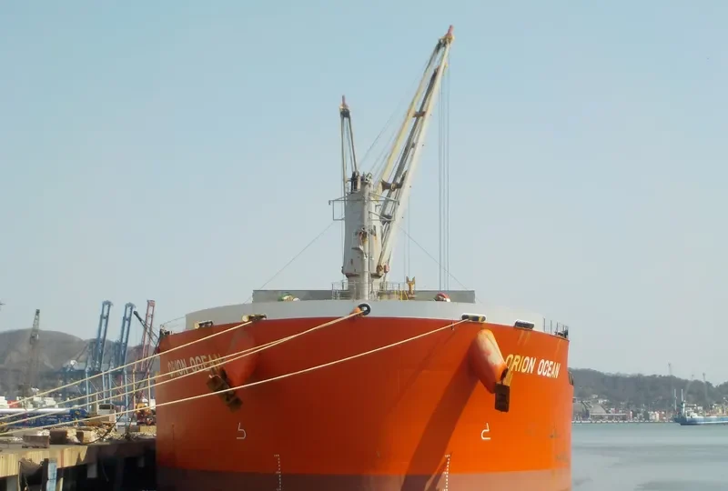 ORION OCEAN Bulk Carrier IMO 9738935 photo 8
