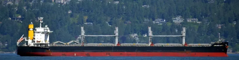 LOWLANDS AMSTEL Bulk Carrier IMO 9738947