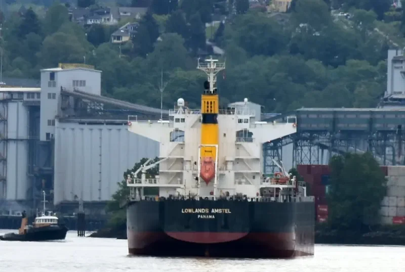 LOWLANDS AMSTEL Bulk Carrier IMO 9738947 photo 3