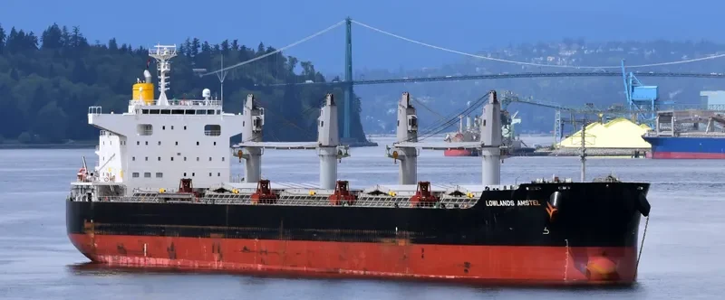 LOWLANDS AMSTEL Bulk Carrier IMO 9738947 photo 4