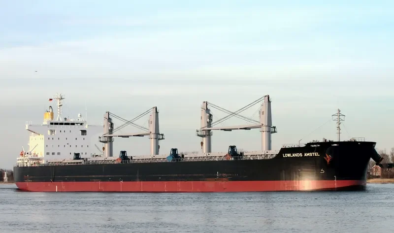 LOWLANDS AMSTEL Bulk Carrier IMO 9738947 photo 8