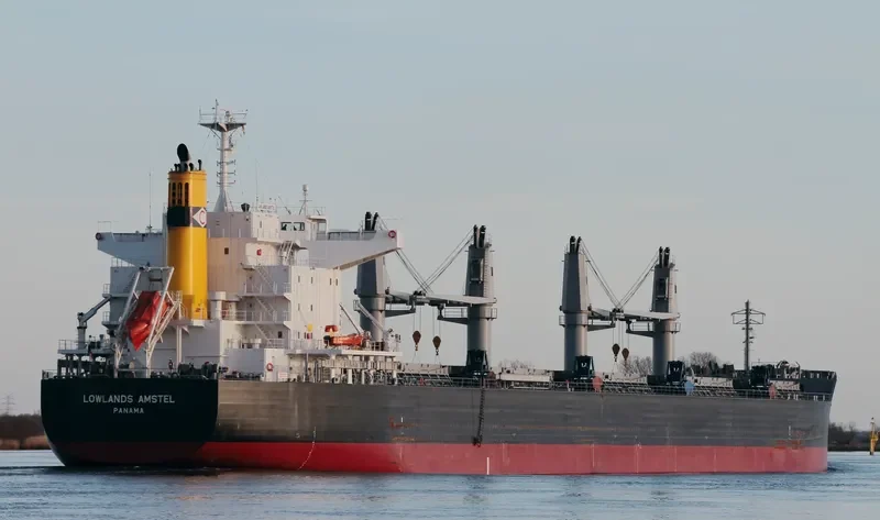 LOWLANDS AMSTEL Bulk Carrier IMO 9738947 photo 9