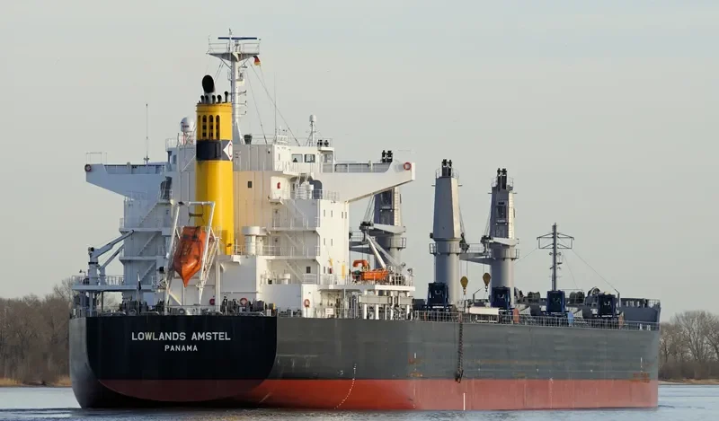 LOWLANDS AMSTEL Bulk Carrier IMO 9738947 photo 10