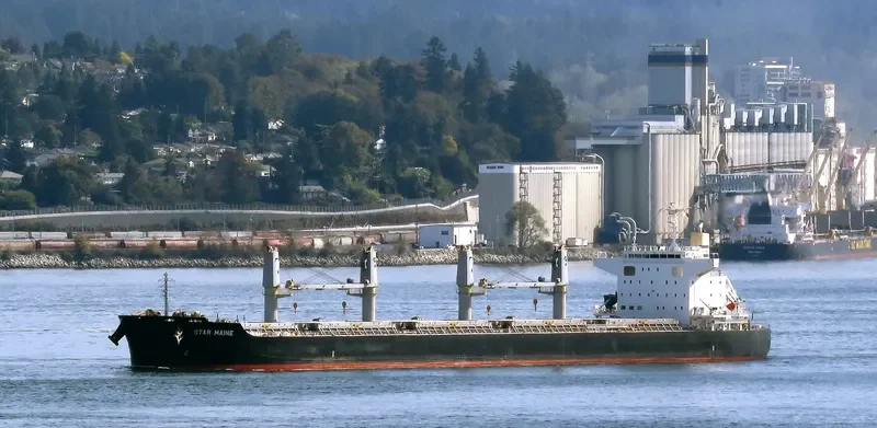 STAR MAINE Bulk Carrier IMO 9738959 photo 2