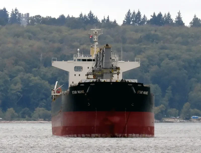 STAR MAINE Bulk Carrier IMO 9738959 photo 3