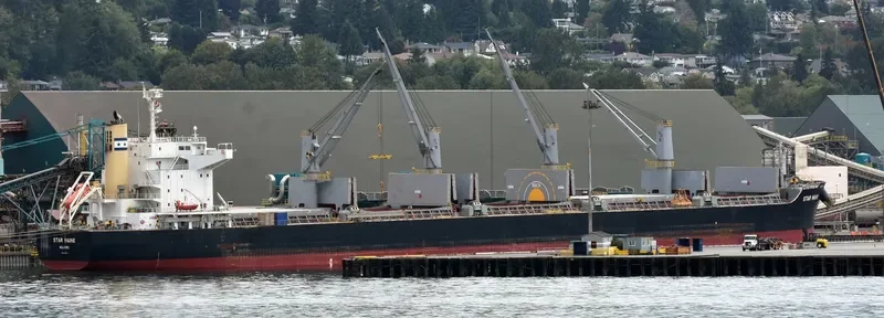 STAR MAINE Bulk Carrier IMO 9738959 photo 4