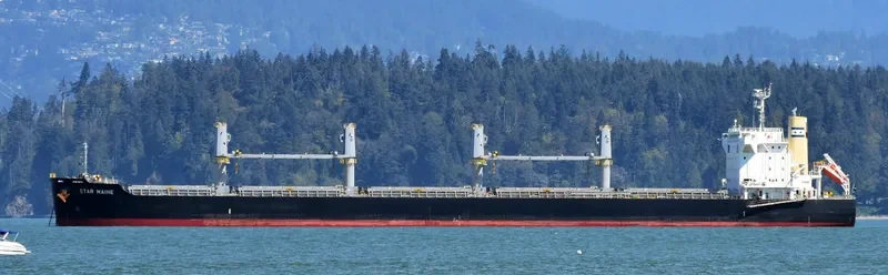 STAR MAINE Bulk Carrier IMO 9738959 photo 5