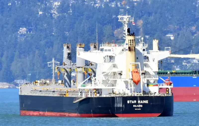 STAR MAINE Bulk Carrier IMO 9738959 photo 6