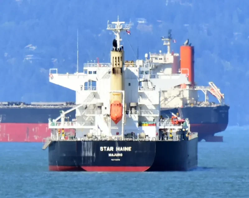 STAR MAINE Bulk Carrier IMO 9738959 photo 7