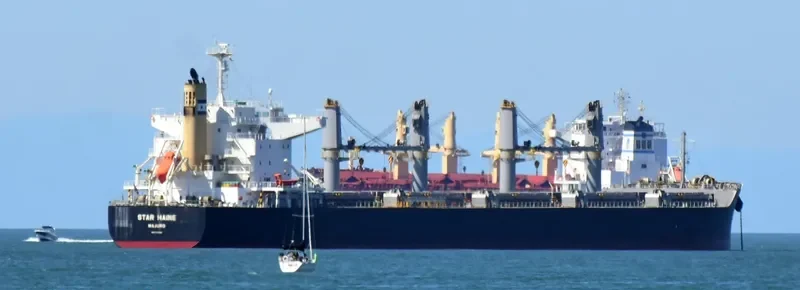 STAR MAINE Bulk Carrier IMO 9738959 photo 8