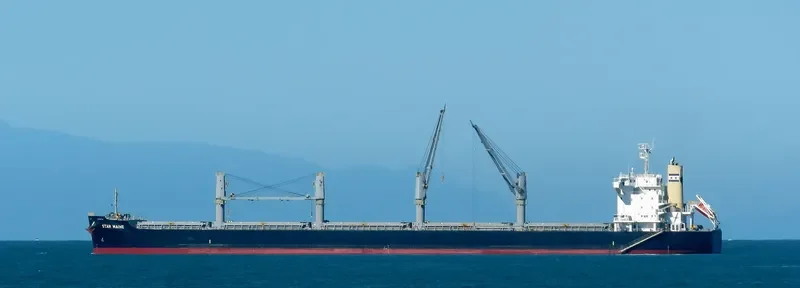 STAR MAINE Bulk Carrier IMO 9738959 photo 9