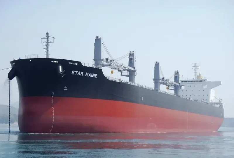 STAR MAINE Bulk Carrier IMO 9738959 photo 10