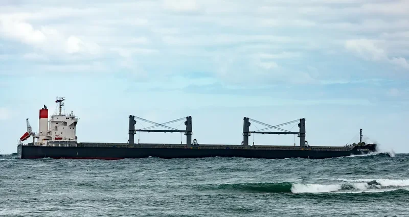 IC PHOENIX Bulk Carrier IMO 9738961