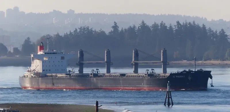IC PHOENIX Bulk Carrier IMO 9738961 photo 2